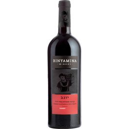 Binyamina Yogev Cabernet Sauvignon & Petit Verdot Non-Mevushal 2024