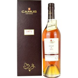 Camus 1971 Cognac
