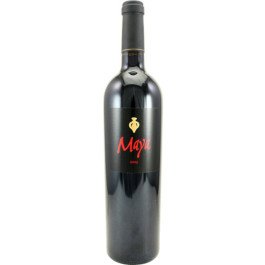 Dalla Valle Maya 2015