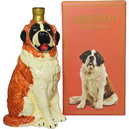 DiamonD Dog Beethoven Brandy 9 Years Old