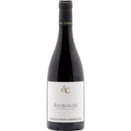Domaine Sylvain Cathiard Bourgogne 2023