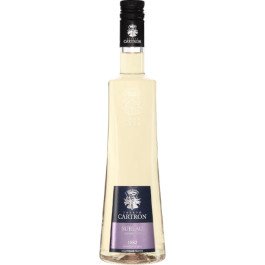 Joseph Cartron Elderflower Sureau