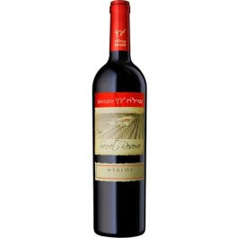 Shiloh Secret Reserve Merlot Non-Mevushal 2021