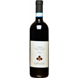 Silvio Giamello Langhe Rosso Pinot Nero Arneg 2022