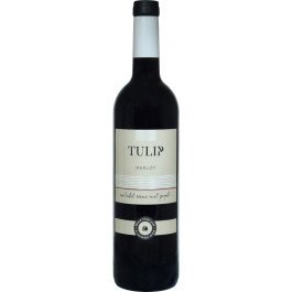 Tulip Winery Merlot 2023