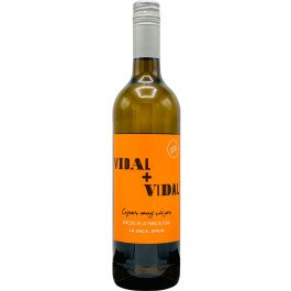 Vidal + Vidal Verdejo La Seca 2024